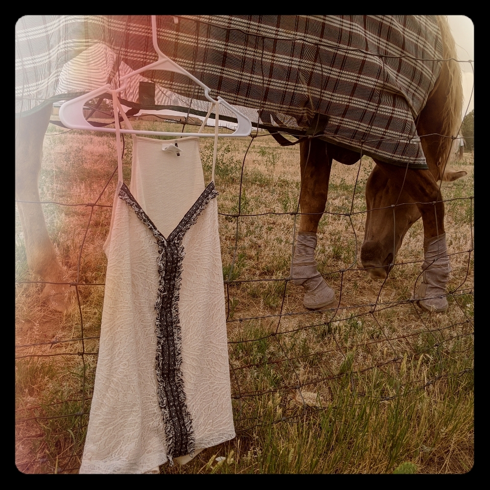 Akemi + Kin Knitted Tank Top